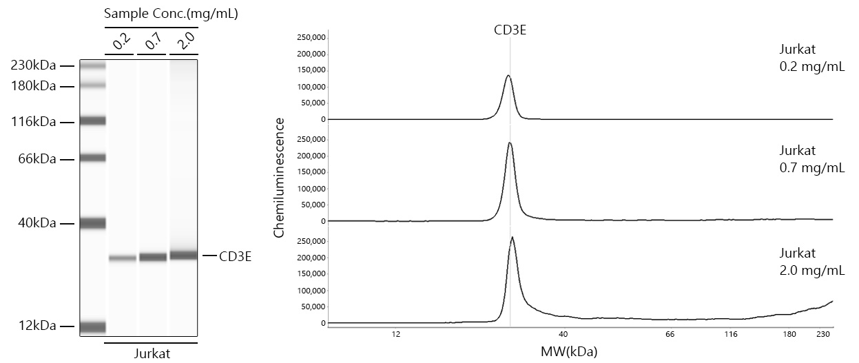 CD3E Rabbit mAb
