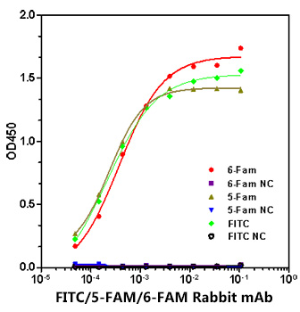FITC/5-FAM/6-FAM Rabbit mAb