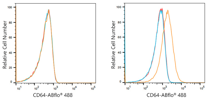 ABflo® 488 Rabbit anti-Human CD64 mAb