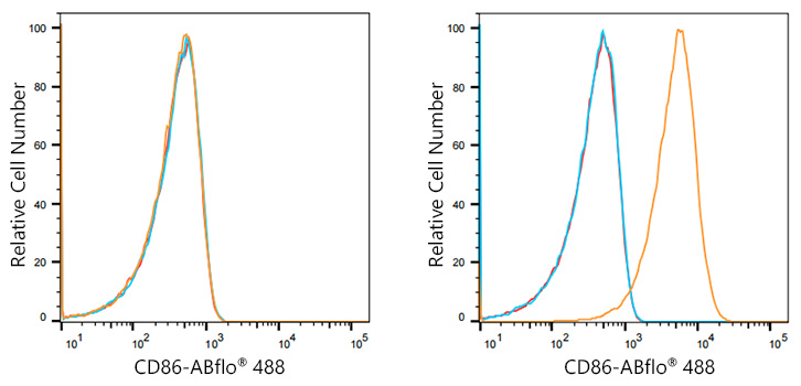 ABflo® 488 Rabbit anti-Human CD86 mAb