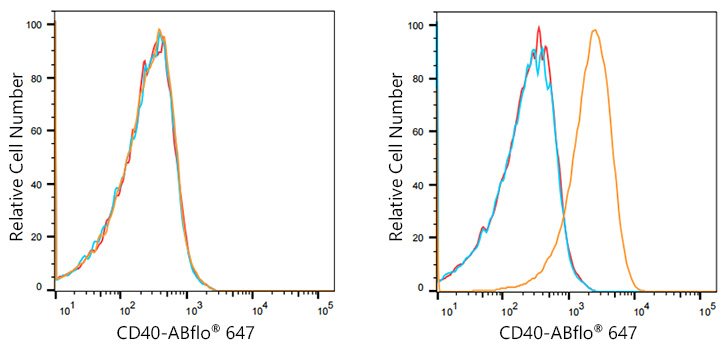 ABflo® 647 Rabbit anti-Human CD40 mAb