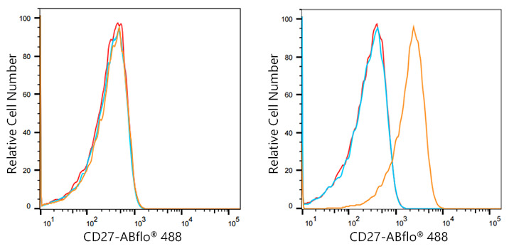 ABflo® 488 Rabbit anti-Human CD27 mAb