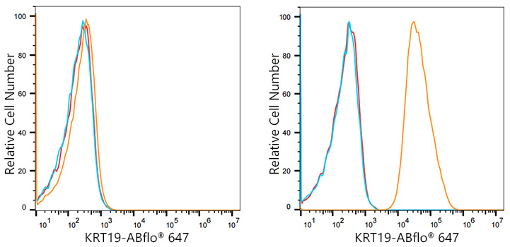 ABflo® 647 Rabbit anti-Human Cytokeratin 19 (KRT19) mAb