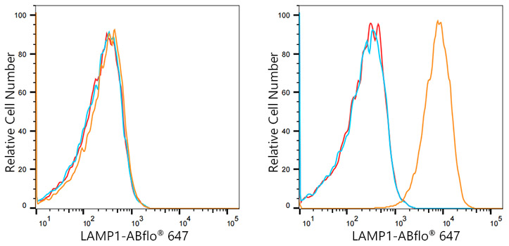 ABflo® 647 Rabbit anti-Human LAMP1/CD107a mAb