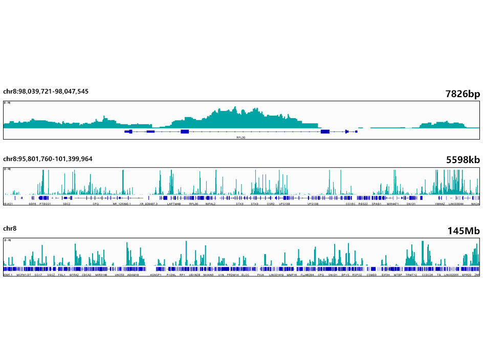 MonoMethyl-Histone H3-K4 Rabbit mAb