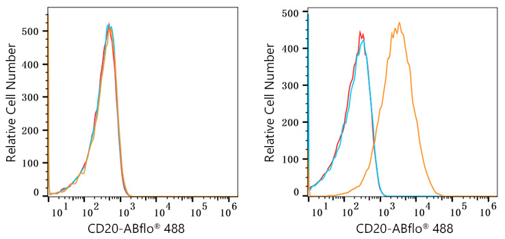 ABflo® 488 Rabbit anti-Human/Monkey CD20 mAb