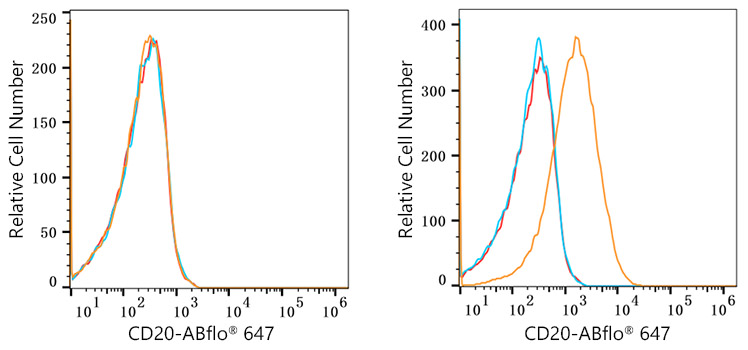 ABflo® 647 Rabbit anti-Human/Monkey CD20 mAb