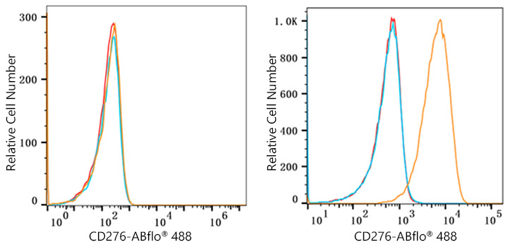 ABflo® 488 Rabbit anti-Human/Mouse CD276/B7-H3 mAb