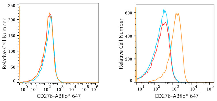 ABflo® 647 Rabbit anti-Human/Mouse CD276/B7-H3 mAb