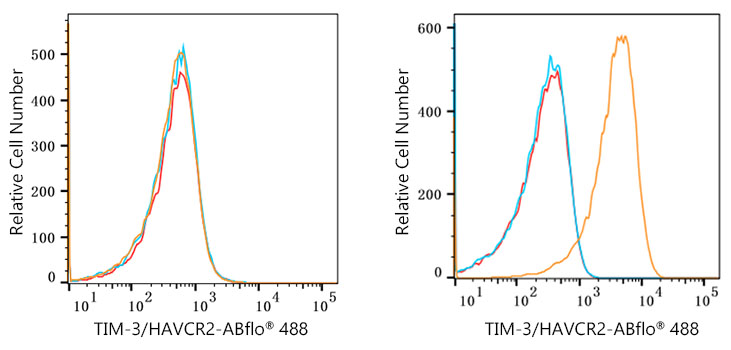 ABflo® 488 Rabbit anti-Human TIM-3/HAVCR2 mAb