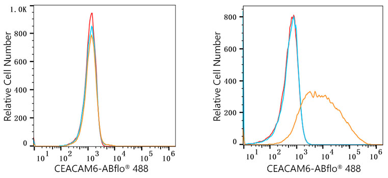 ABflo® 488 Rabbit anti-Human CEACAM6 mAb