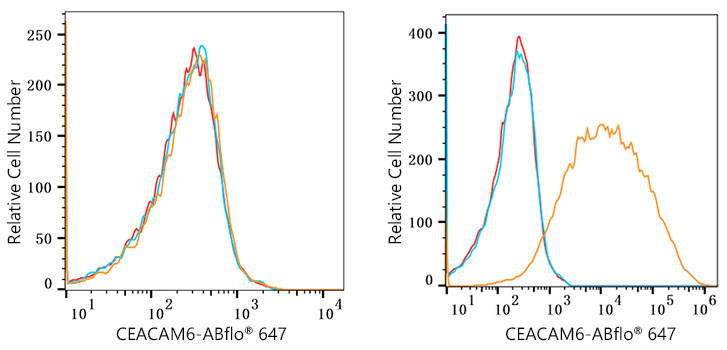 ABflo® 647 Rabbit anti-Human CEACAM6 mAb