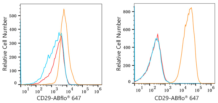 ABflo® 647 Rabbit anti-Human Integrin-β1/CD29 mAb