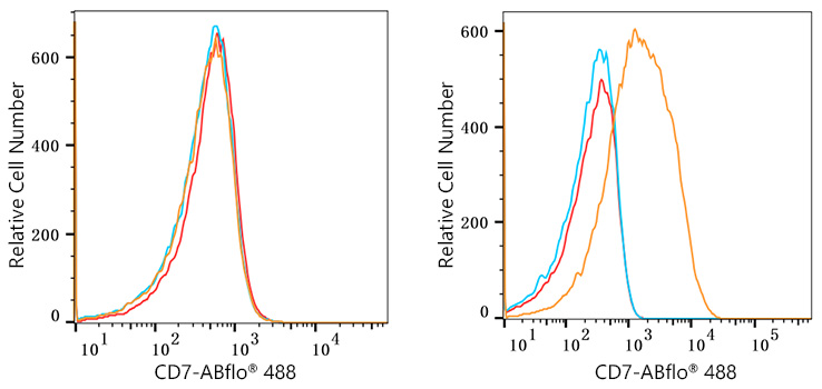 ABflo® 488 Rabbit anti-Human CD7 mAb