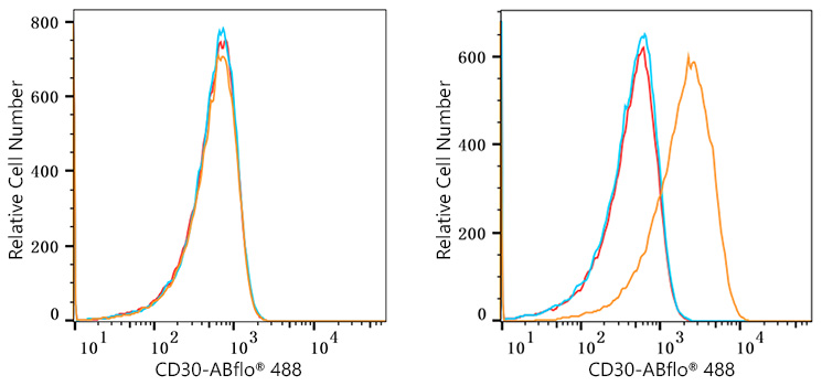 ABflo® 488 Rabbit anti-Human CD30 mAb