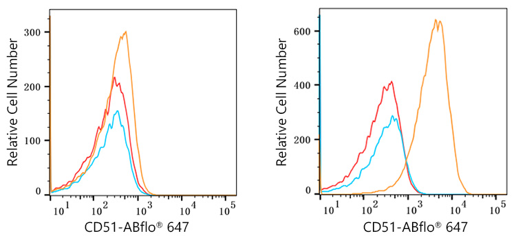 ABflo® 647 Rabbit anti-Human CD51 mAb