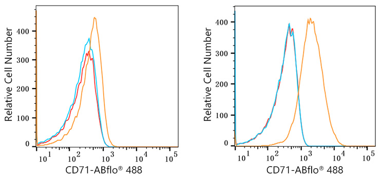 ABflo® 488 Rabbit anti-Human CD71 mAb