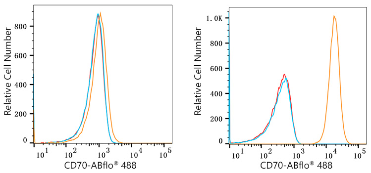 ABflo® 488 Rabbit anti-Human CD70 mAb