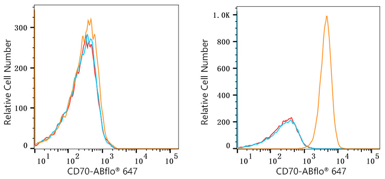 ABflo® 647 Rabbit anti-Human CD70 mAb