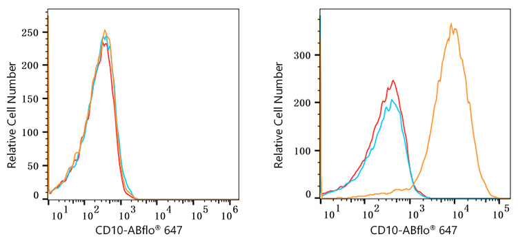 ABflo® 647 Rabbit anti-Human CD10 mAb