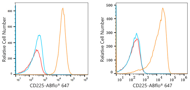 ABflo® 647 Rabbit anti-Human CD225/IFITM1 mAb