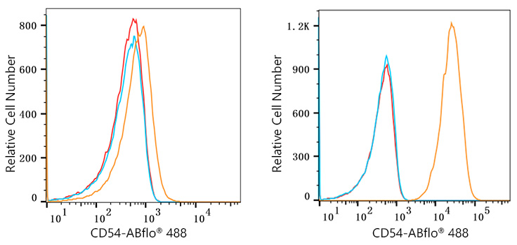 ABflo® 488 Rabbit anti-Human ICAM-1/CD54 mAb