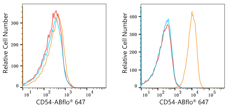 ABflo® 647 Rabbit anti-Human ICAM-1/CD54 mAb