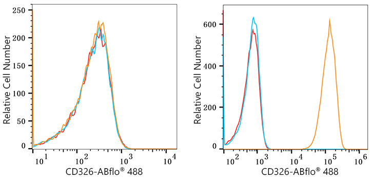 ABflo® 488 Rabbit anti-Human CD326/EPCAM mAb