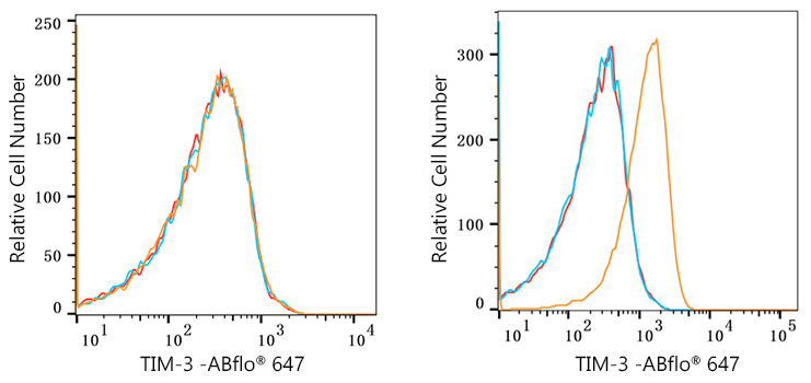 ABflo® 647 Rabbit anti-Human TIM-3/HAVCR2 mAb