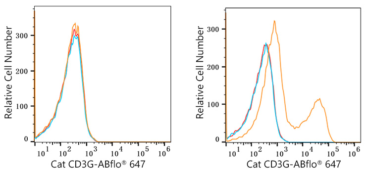 ABflo® 647 Rabbit anti-Cat CD3G mAb