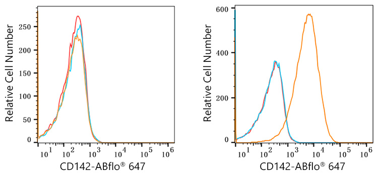 ABflo® 647 Rabbit anti-Human CD142 mAb