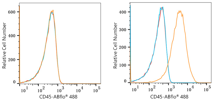 ABflo® 488 Rabbit anti-Human CD45 mAb