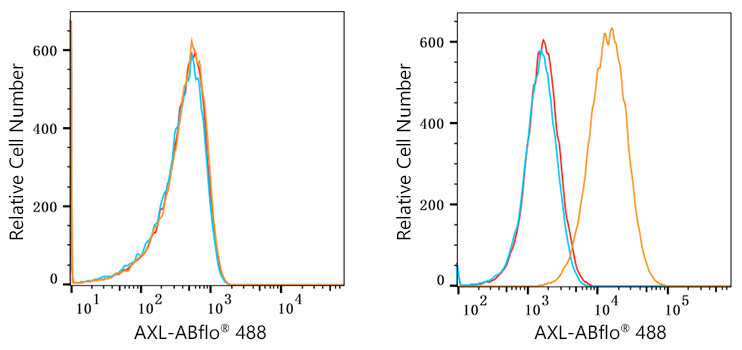 ABflo® 488 Rabbit anti-Human AXL mAb