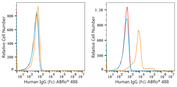 ABflo® 488 Rabbit anti-Human IgG (Fc) mAb