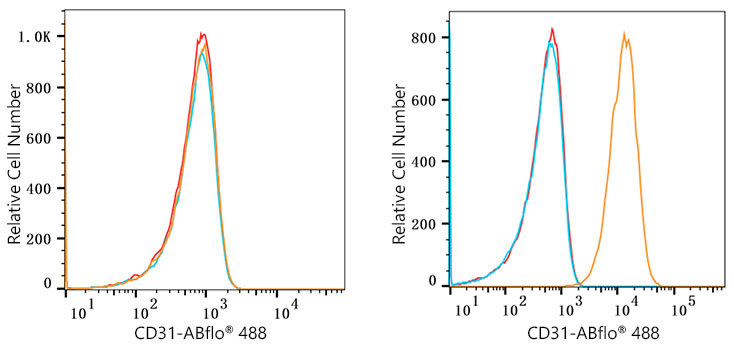 ABflo® 488 Rabbit anti-Human CD31/PECAM1 mAb