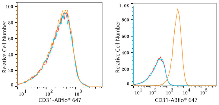 ABflo® 647 Rabbit anti-Human CD31/PECAM1 mAb