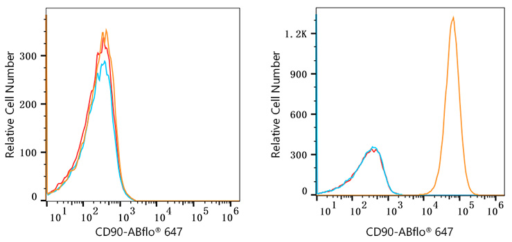 ABflo® 647 Rabbit anti-Human CD90/Thy1 mAb