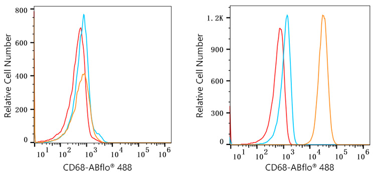 ABflo® 488 Rabbit anti-Human CD68 mAb