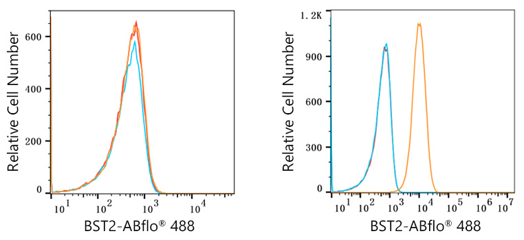 ABflo® 488 Rabbit anti-Human CD317/BST2 mAb