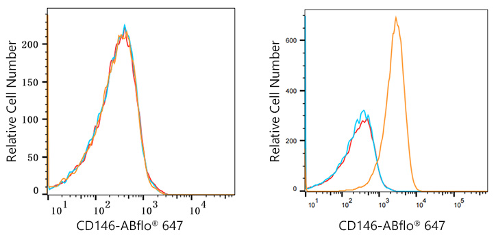 ABflo® 647 Rabbit anti-Human CD146 mAb