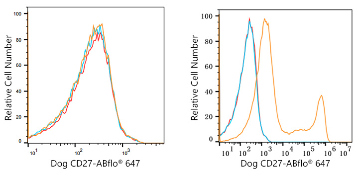 ABflo® 647 Rabbit anti-Dog CD27 mAb