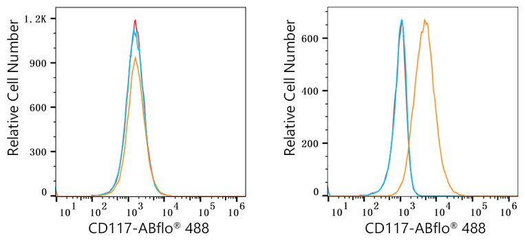 ABflo® 488 Rabbit anti-Human CD117/c-Kit mAb