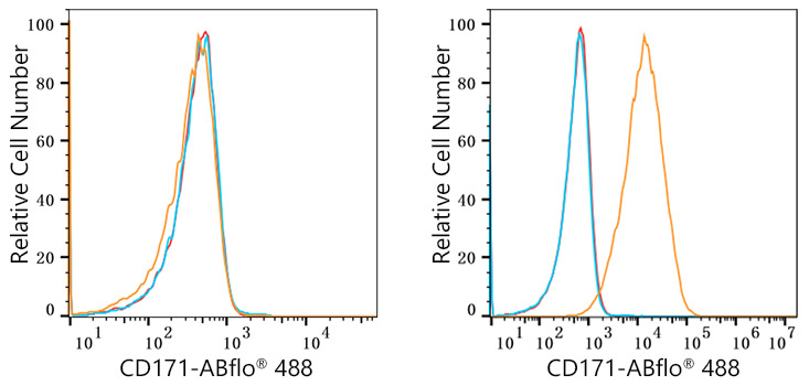 ABflo® 488 Rabbit anti-Human CD171/L1CAM mAb