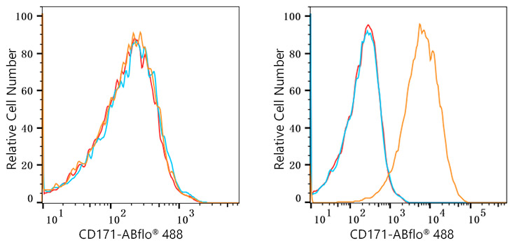 ABflo® 647 Rabbit anti-Human CD171/L1CAM mAb