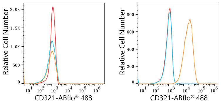 ABflo® 488 Rabbit anti-Human JAM-A/CD321/F11R mAb