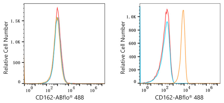 ABflo® 488 Rabbit anti-Human CD162/PSGL-1 mAb