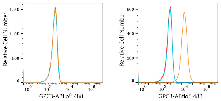 ABflo® 488 Rabbit anti-Human Glypican 3 (GPC3) mAb