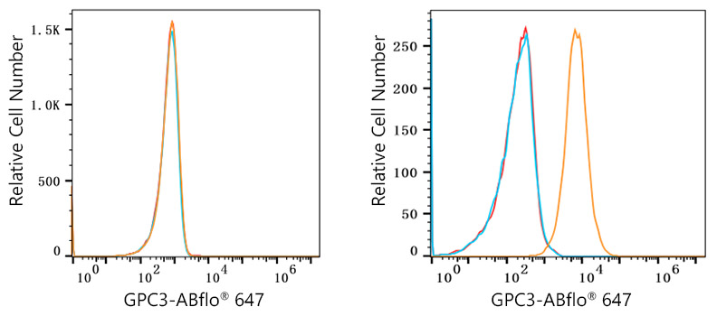 ABflo® 647 Rabbit anti-Human Glypican 3 (GPC3) mAb