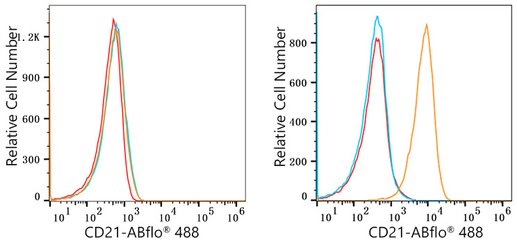 ABflo® 488 Rabbit anti-Human CR2/CD21 mAb