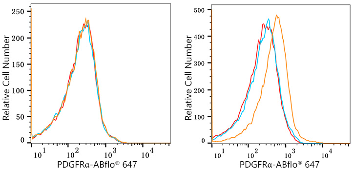 ABflo® 647 Rabbit anti-Human/Mouse PDGFRα/CD140a mAb